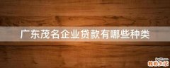 广东茂名企业贷款有哪些种类