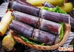 秋冬润肺的水果有哪些 6类食物一定要知道