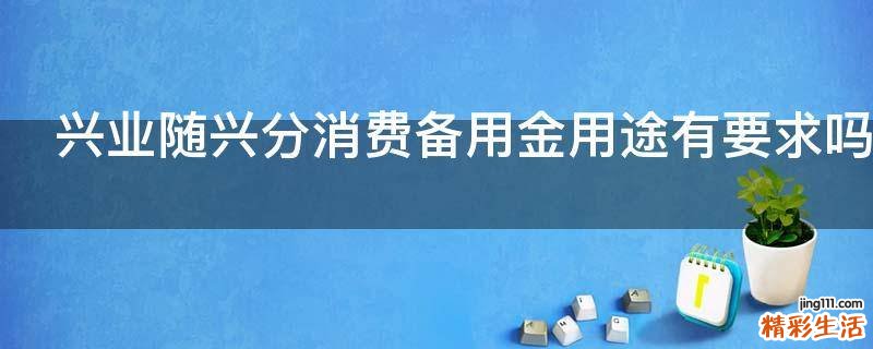 兴业随兴分消费备用金用途有要求吗