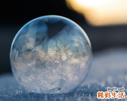 3 山橿根
