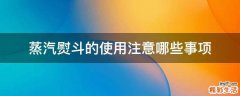 蒸汽熨斗的使用注意哪些事项