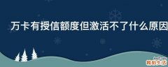 万卡有授信额度但激活不了什么原因
