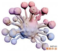 关于癌症预防和早诊的较全面知识