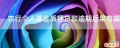 农行个人基金质押贷款逾期后果有哪些
