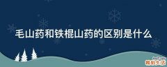 毛山药和铁棍山药的区别是什么