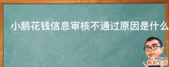 小鹅花钱信息审核不通过原因是什么