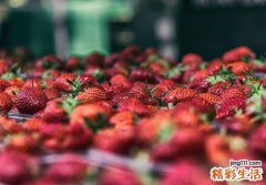 吃什么水果可以抗癌 这些水果能“吃掉”体内癌细胞