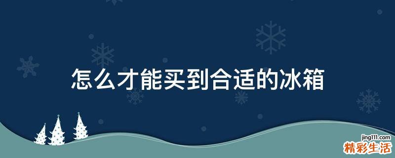 怎么才能买到合适的冰箱