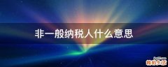非一般纳税人什么意思
