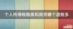 个人所得税租房和房贷哪个退税多
