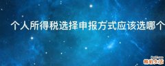 个人所得税选择申报方式应该选哪个