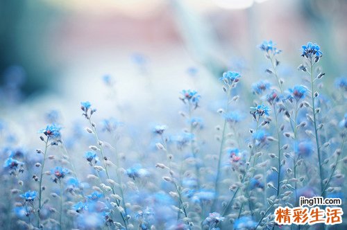 食管平滑肌瘤