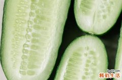2023三伏天入伏第一天是哪一天 今年初伏是几月几日开始