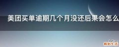 美团买单逾期几个月没还后果会怎么样