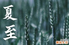 2023年夏至是三伏天么 夏至是入伏的第一天吗为什么