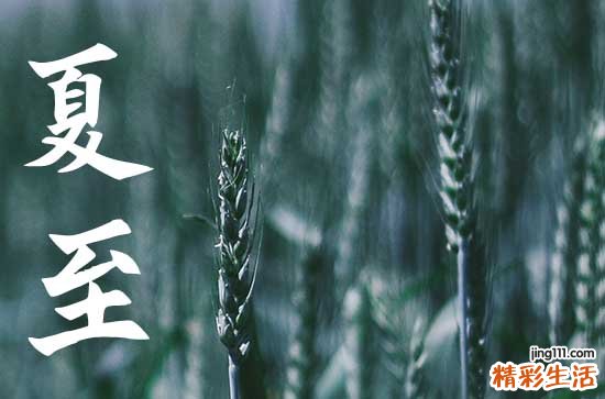 2023年夏至是三伏天么 夏至是入伏的第一天吗为什么