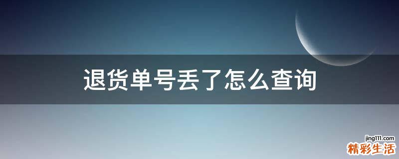 退货单号丢了怎么查询