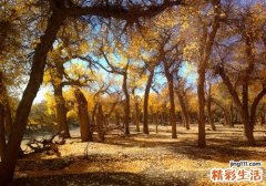 晚上睡觉身上痒是怎么回事 该怎么办呢
