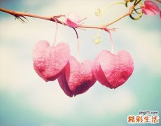 长青春痘用什么洗脸好
