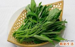 护肝吃什么食物 五种瓜果蔬菜是护肝高手