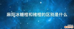 麻阳冰糖橙和褚橙的区别是什么