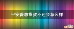 平安普惠贷款不还会怎么样