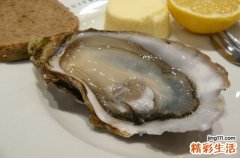 什么食物含锌多