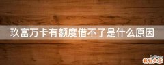 玖富万卡有额度借不了是什么原因