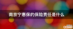 南京宁惠保的保险责任是什么