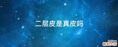 二层皮是真皮吗