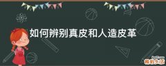 如何辨别真皮和人造皮革