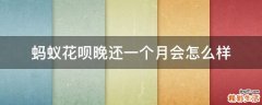 蚂蚁花呗晚还一个月会怎么样