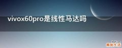 vivox60pro是线性马达吗