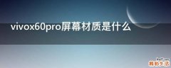 vivox60pro屏幕材质是什么