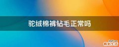 驼绒棉裤钻毛正常吗