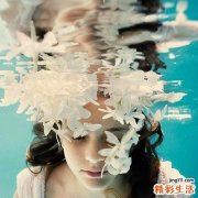 3 辽东鳞毛蕨