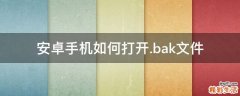安卓手机如何打开.bak文件