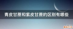 青皮甘蔗和紫皮甘蔗的区别有哪些
