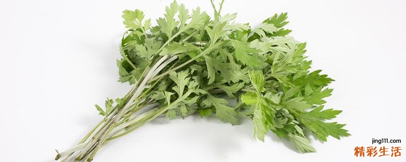 艾草煮水可以治皮肤痒吗 艾草水止痒煮多长时间