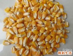 上班族必吃7种食物调理亚健康