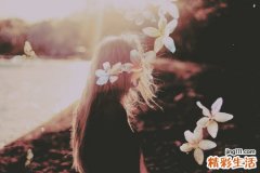 5 木棉皮