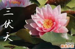 初伏2023年从哪一天开始 初伏2023时间表