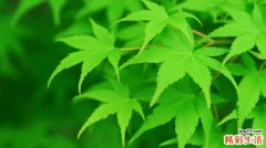 2 压力山大 毁掉肌肤瞬间变老