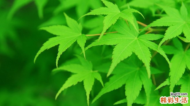 2 压力山大 毁掉肌肤瞬间变老