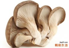 冬天吃什么提高免疫力 5种恢复免疫力的素食