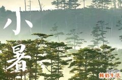 2023小暑是哪天几点几分 2023年小暑是什么时间