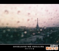 颈动脉斑块