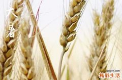 2023大暑过后几天凉 一般大暑后多久就不热了
