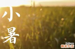 2023年7月7日节气具体时间 2023年7月7日节气农历是多少