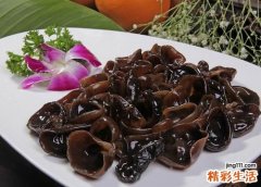 含铁高的食物有哪些